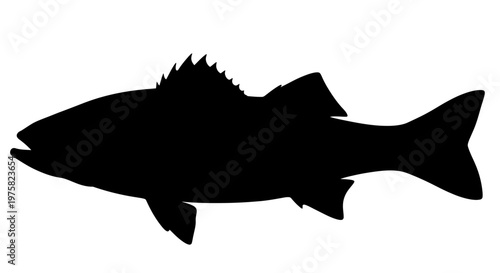 Black Silhouette of a Fish on White Background