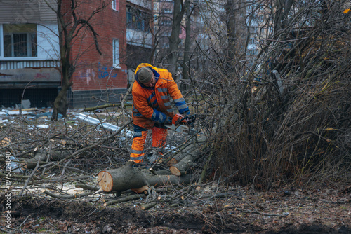 Municipal worker in orange reflective uniform using a chainsaw to clear a fallen tree. Cleanup process and recovery works in a residential area after an urban disaster or storm.