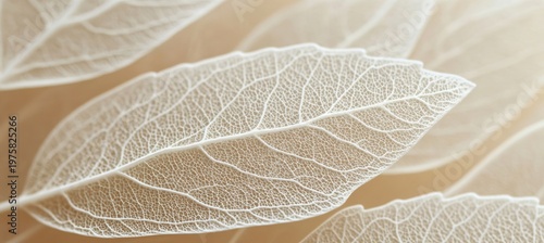 Delicate White Leaf Veins on Soft Beige Background, Capturing Intricate Natural Artistry and Beauty