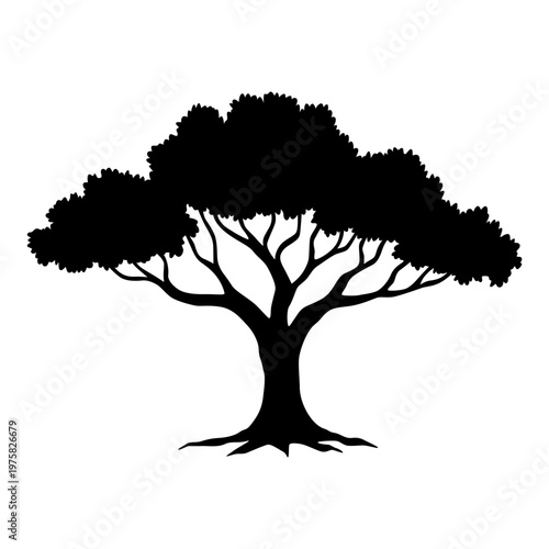 Oak silhouette towering over grass, broad canopy and thick trunk with sprawling roots, high contrast black shape conveys calm stability and parkland serenity
