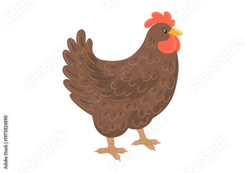 Brown hen standing on white background