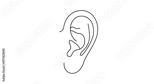 Minimalist Outline Drawing of a Human Ear on White Background