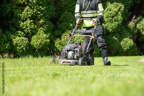 Gardener mowing green lawn with a gasoline lawn mower in a sunny garden. Professional landscaping maintenance, gardening services and outdoor work. A person mows a lush green grass in a sunny day.