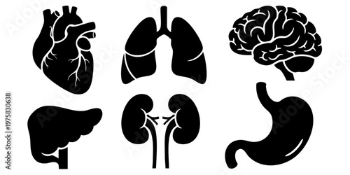 Human internal organs including brain, heart, lungs, liver, kidneys, and stomach are shown