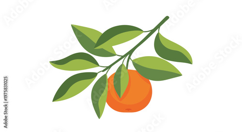 Fresh Orange Fruit on Branch with Green Leaves, Isolated