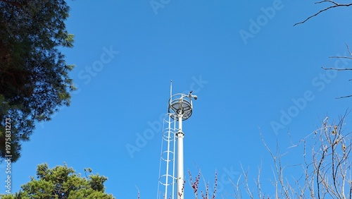 Outdoor security CCTV camera mounted on a high metal pole with a ladder under a clear blue sky