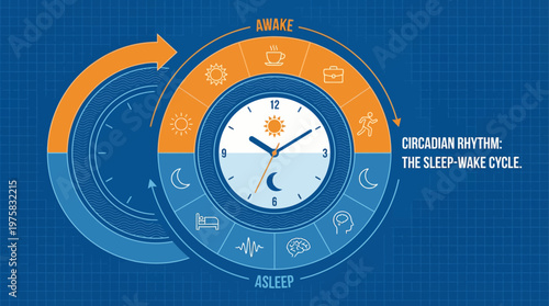 Circadian Rhythm Understanding Your Body's Natural Sleep-Wake Cycle and Daily Biological Clock