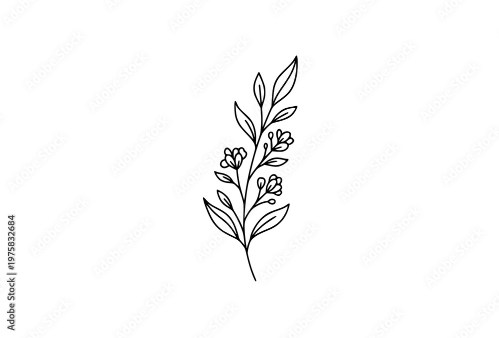Fototapeta premium Minimalist floral stem doodle icon with elegant hand drawn botanical line art isolated on white background