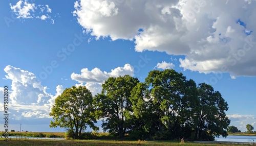 A serene landscape with trees and a blue sky