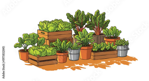 Potted plants and greenery in wooden crates and buckets outdoors