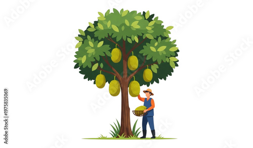 SEO Title:
Jackfruit Harvest Flat Design Vector Illustration Tropical Farming Scene with Farmer and Tree Isolated on White Background