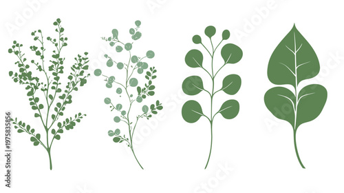 Four stylized botanical illustrations of greenery with variations in leaf shapes and textures