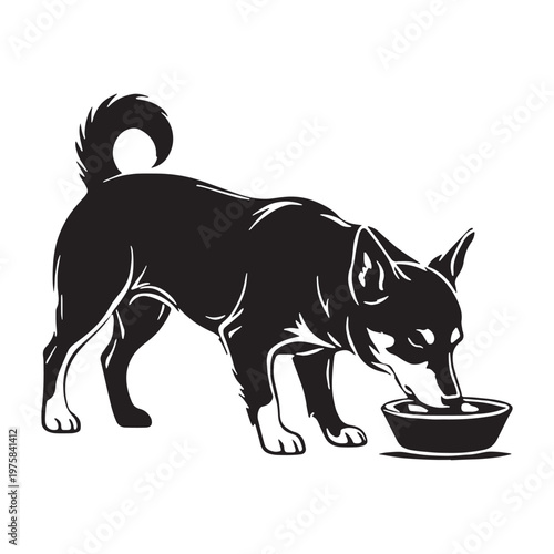 Norwegian, Buhund, Nordic, Spitz, Agile, Energetic, Loyal, Intelligent, Active, Herding, Farm, Working, Friendly, Alert, Brave, Playful, Devoted, Compact, Strong, Versatile, Watchdog, Confident.