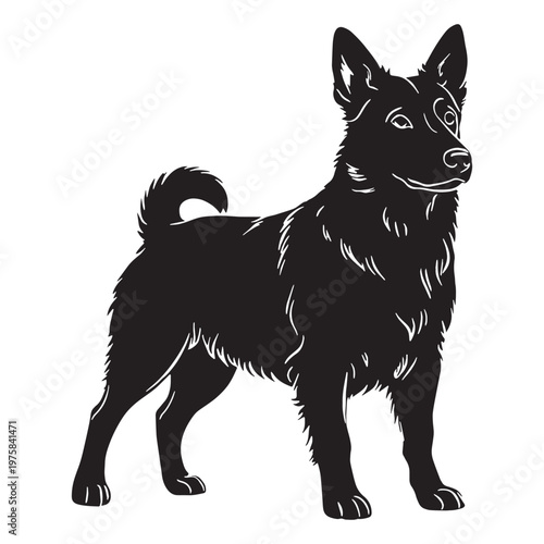 Norwegian, Buhund, Nordic, Spitz, Agile, Energetic, Loyal, Intelligent, Active, Herding, Farm, Working, Friendly, Alert, Brave, Playful, Devoted, Compact, Strong, Versatile, Watchdog, Confident.