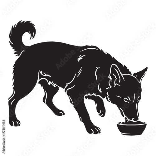 Norwegian, Buhund, Nordic, Spitz, Agile, Energetic, Loyal, Intelligent, Active, Herding, Farm, Working, Friendly, Alert, Brave, Playful, Devoted, Compact, Strong, Versatile, Watchdog, Confident.