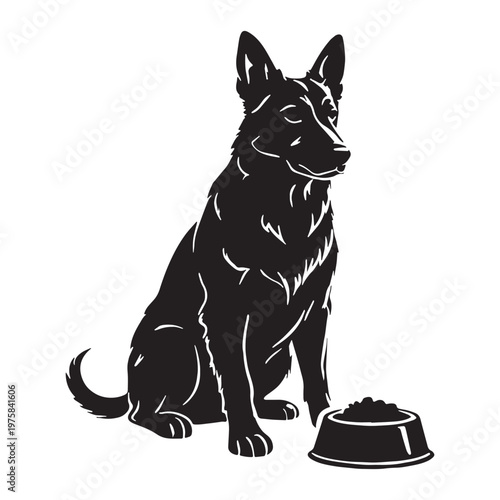 Norwegian, Buhund, Nordic, Spitz, Agile, Energetic, Loyal, Intelligent, Active, Herding, Farm, Working, Friendly, Alert, Brave, Playful, Devoted, Compact, Strong, Versatile, Watchdog, Confident.