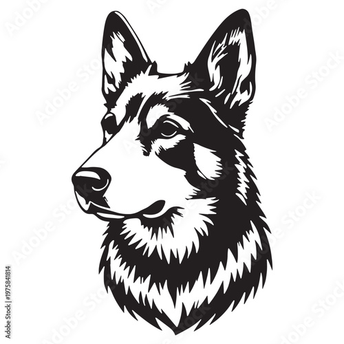 Norwegian, Buhund, Nordic, Spitz, Agile, Energetic, Loyal, Intelligent, Active, Herding, Farm, Working, Friendly, Alert, Brave, Playful, Devoted, Compact, Strong, Versatile, Watchdog, Confident.