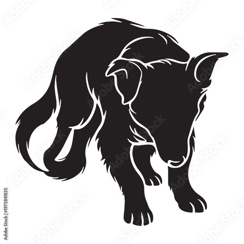 Norwegian, Buhund, Nordic, Spitz, Agile, Energetic, Loyal, Intelligent, Active, Herding, Farm, Working, Friendly, Alert, Brave, Playful, Devoted, Compact, Strong, Versatile, Watchdog, Confident.