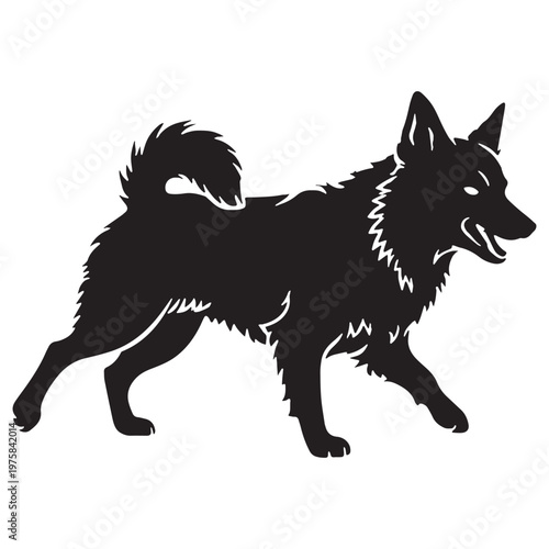Norwegian, Buhund, Nordic, Spitz, Agile, Energetic, Loyal, Intelligent, Active, Herding, Farm, Working, Friendly, Alert, Brave, Playful, Devoted, Compact, Strong, Versatile, Watchdog, Confident.