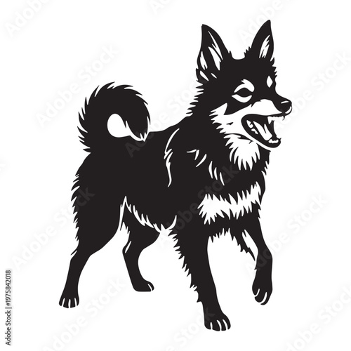 Norwegian, Buhund, Nordic, Spitz, Agile, Energetic, Loyal, Intelligent, Active, Herding, Farm, Working, Friendly, Alert, Brave, Playful, Devoted, Compact, Strong, Versatile, Watchdog, Confident.