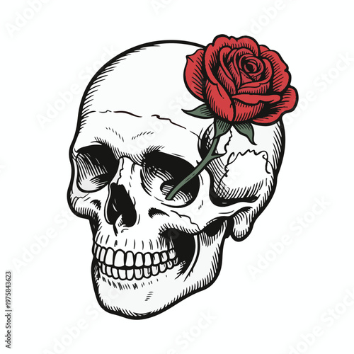 Skull with Red Rose Vector Illustration – Gothic Floral Tattoo Style Design