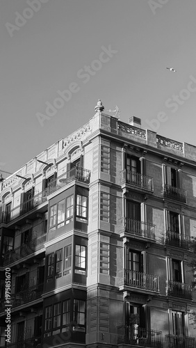 Historic building in the city in black and white