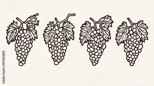 A digitally drawn illustration of four stylized bunches of grapes with leaves