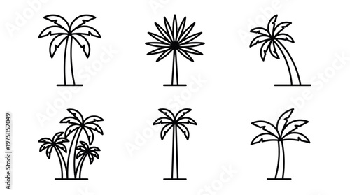 Palm trees tropical line icon set in minimalist outline vector style