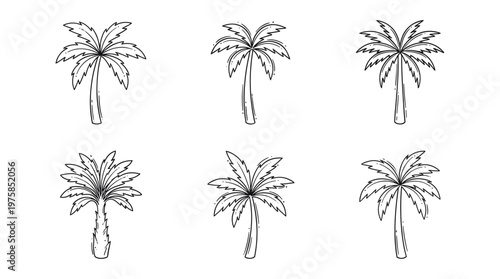 Palm trees tropical line icon set in minimalist outline vector style