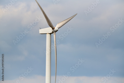 Windmills for renewable electrical energy production