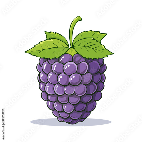 Vibrant Purple Blackberry Fruit with Green Leaves Artistic Illustration Fresh Healthy Diet