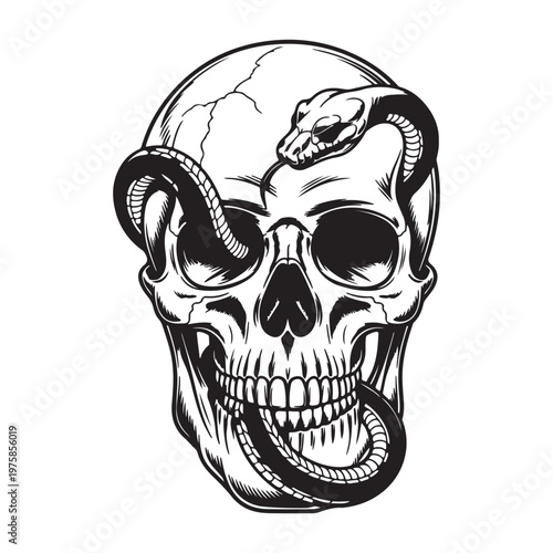 Skull with Snake Tattoo Style Vector Illustration – Gothic Serpent and Skull Design