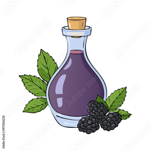 Illustration of a glass bottle filled with purple liquid and blackberries and leaves