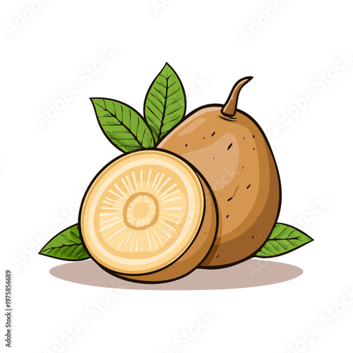 Illustration of a whole and halved sapodilla fruit with green leaves on a light surface