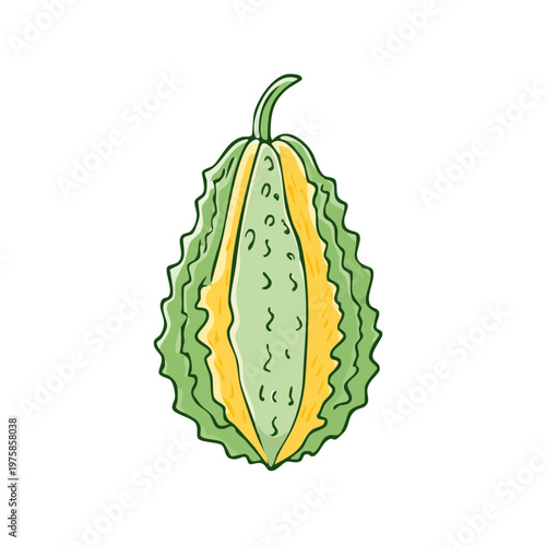 Hand-drawn illustration of a unique green and yellow ribbed gourd against a white background