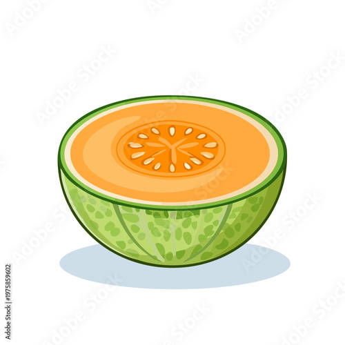 Sweet cantaloupe melon cut in half showcasing juicy orange flesh and seeds