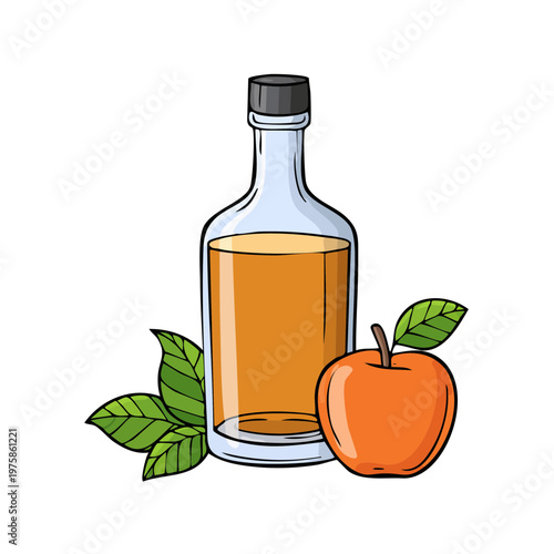 Hand Drawn Apple Cider Vinegar Bottle with Fruit and Leaves for Healthy Beverage Making