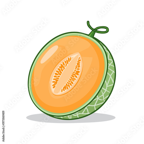 Fresh ripe cantaloupe melon cut in half showcasing juicy orange flesh and seeds healthy food illustration