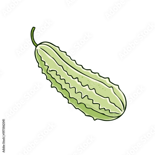 A stylized hand drawn illustration of a green ridged gourd vegetable with a stem