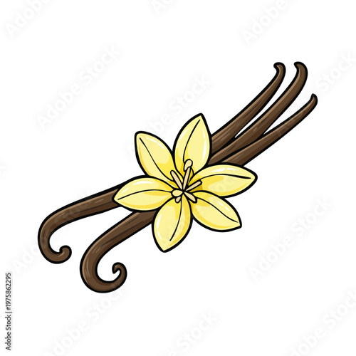 Two whole vanilla beans with a yellow vanilla orchid flower