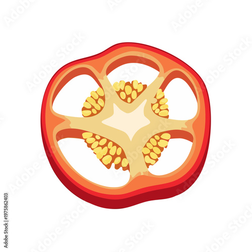 Cross section of red bell pepper showing internal seeds and flesh vibrant color for healthy food and cooking themes
