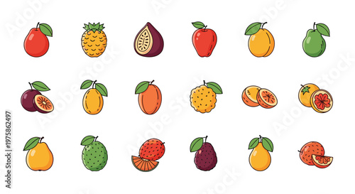 Large collection of diverse tropical and temperate fruit icons including apple, pear, orange, pomegranate, and exotic varieties.