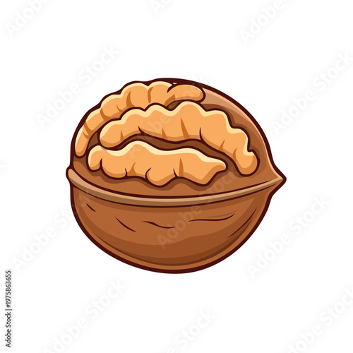 Cartoon illustration of a whole walnut with exposed kernels isolated on white