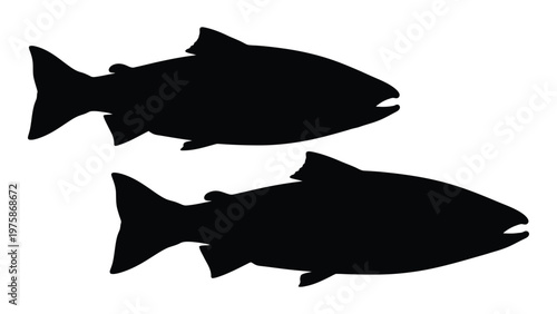 Two black silhouettes of fish swimming horizontally viewed from above