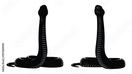Two black snakes are depicted in a striking symmetrical vector style illustration