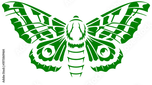 Detaillierte grüne Motte mit komplexen Flügelmustern auf weißem Hintergrund.