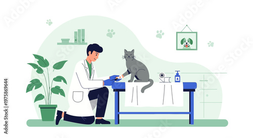 Veterinarian Examines Cat on Table, Pet Health Care, Animal Clinic Interior