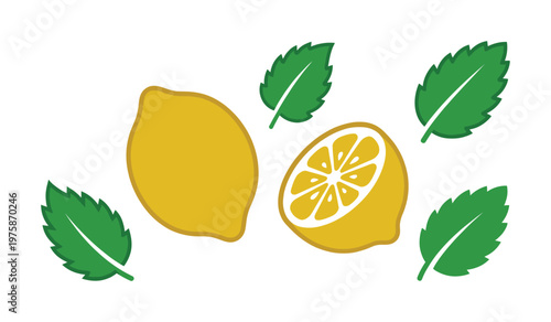 A simple vector illustration of a whole lemon, a half lemon, and fresh mint leaves. Perfect for lemonade, drinks, health, and summer-themed designs.