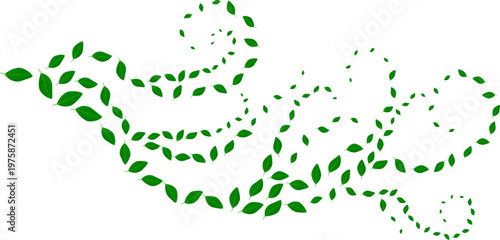 Green leaves are blown away by the wind. White background.
