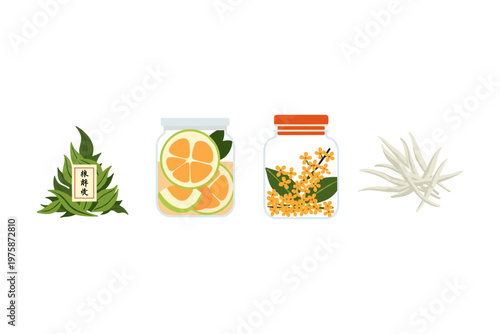 Preserved Ingredients Collection